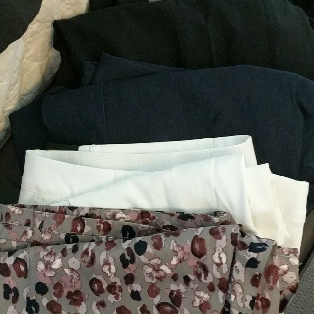 Lane Bryant NWT dress pants: black, 2 navy,white,